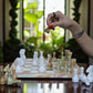 Marble Hives Luxury Handmade Marble Chess Set – Green Onyx & White -15 Inch