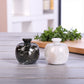Marble Salt Cellar with Lid- Pack of 2 White and Black Zebra