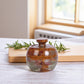 Marble Salt Cellar with Lid- Pack of 2 Sunny Grey and Onyx