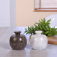 Marble Salt Cellar with Lid- Pack of 2 White and Grey