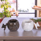 Marble Salt Cellar with Lid- Pack of 2 White and Grey
