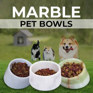 pet bowl